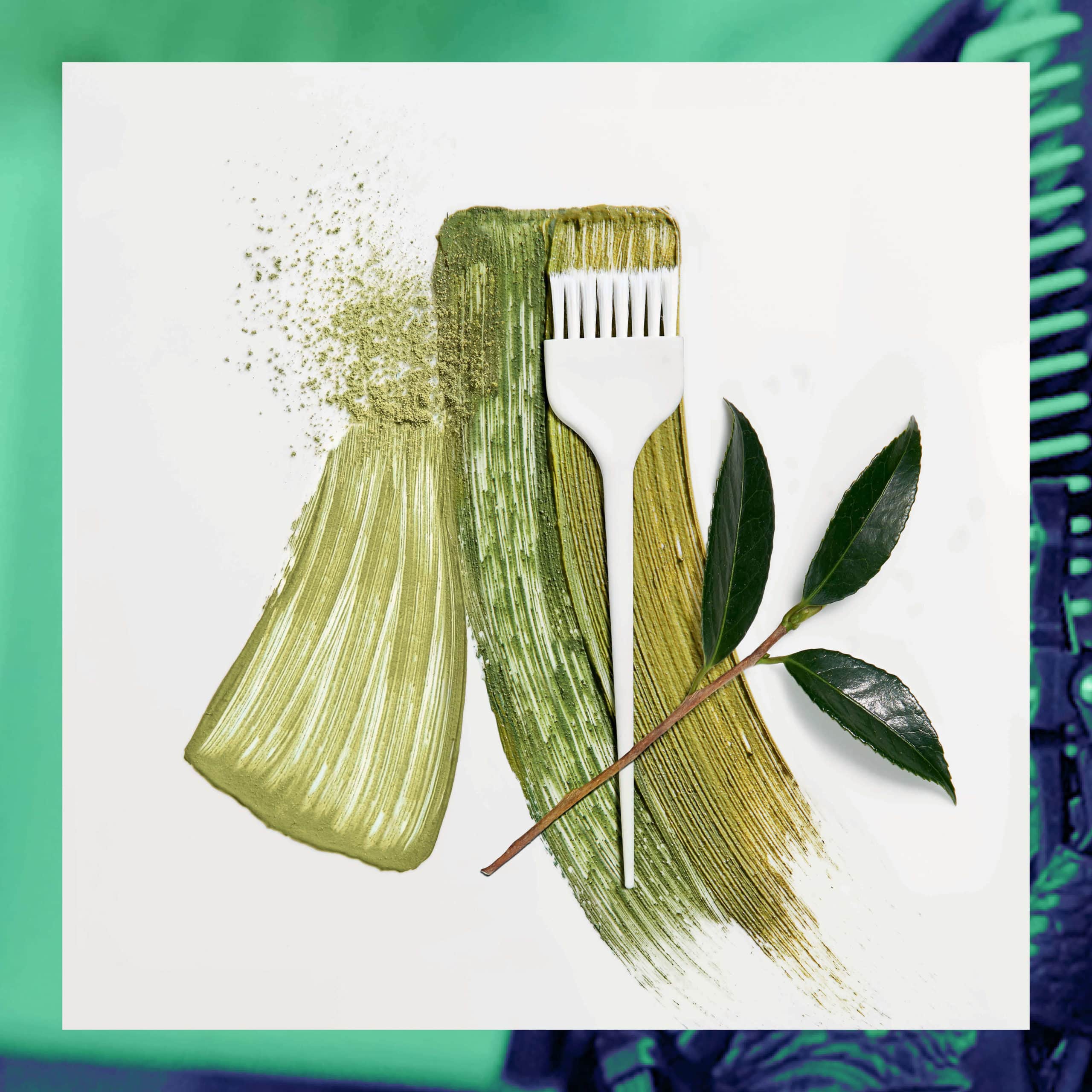 Botanea_post_4 Botanea_post_4